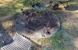 South Coast Site Rentals: effluent pump out